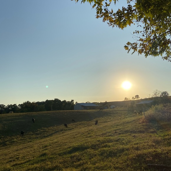 Meet the Posher Other - Meet your Posher, Dana